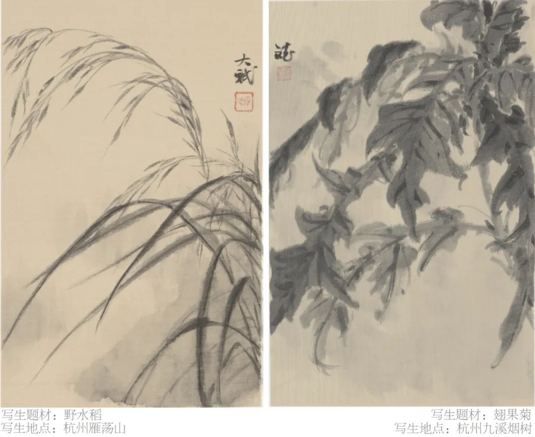 让小草们撒个小野 | “其野芃芃——韩斌写生百开册展”将于1月5日在济南京行艺术馆开展