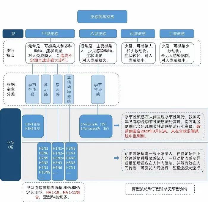 今冬甲流横行，占比99%！这种常见药千万别乱吃