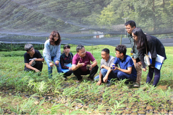 赵树丛：细听竹林打叶声——大关筇竹四题