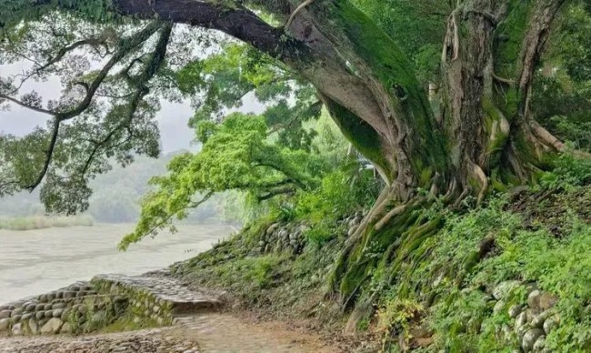 张明川·山水行吟丨在山水自然的画布间驰骋，是自我精神的追寻与灵魂深处的共鸣