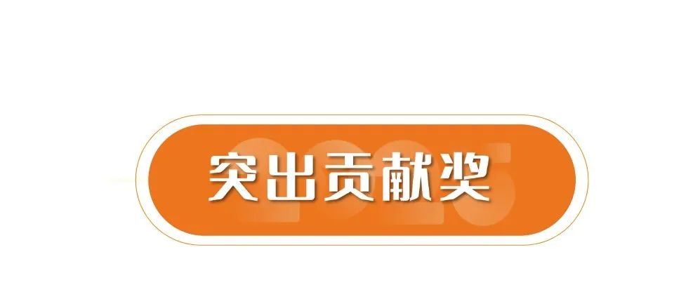 用2024的优异点燃2025的激情——迪尚集团召开2024年度总结表彰大会