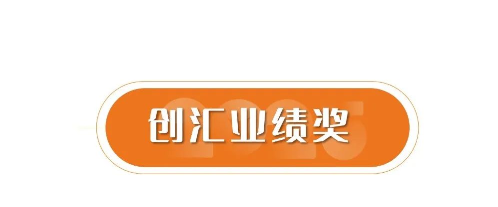 用2024的优异点燃2025的激情——迪尚集团召开2024年度总结表彰大会