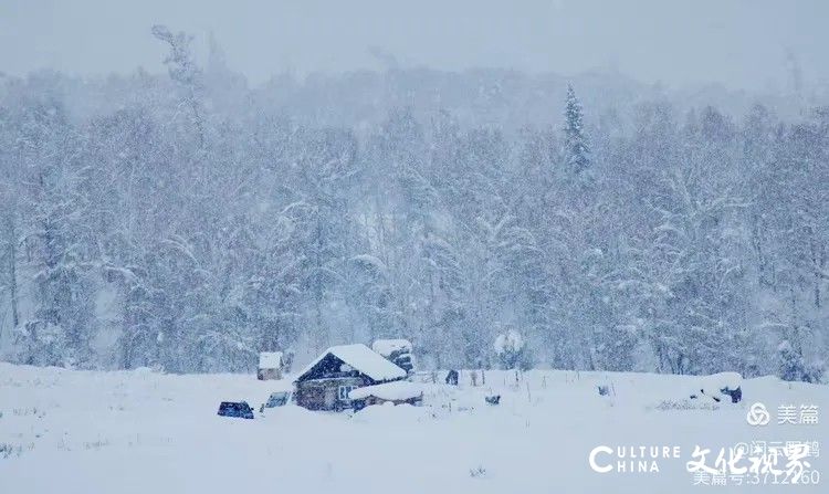 闲云野鹤⑮ | 西北行（八）——北疆看雪迎新年