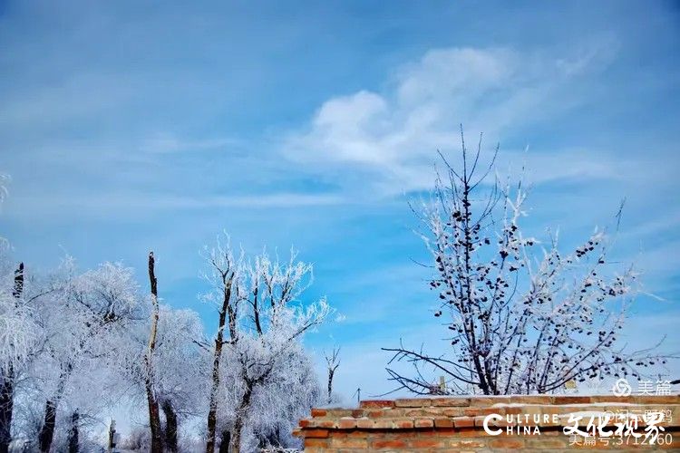 闲云野鹤⑮ | 西北行（八）——北疆看雪迎新年