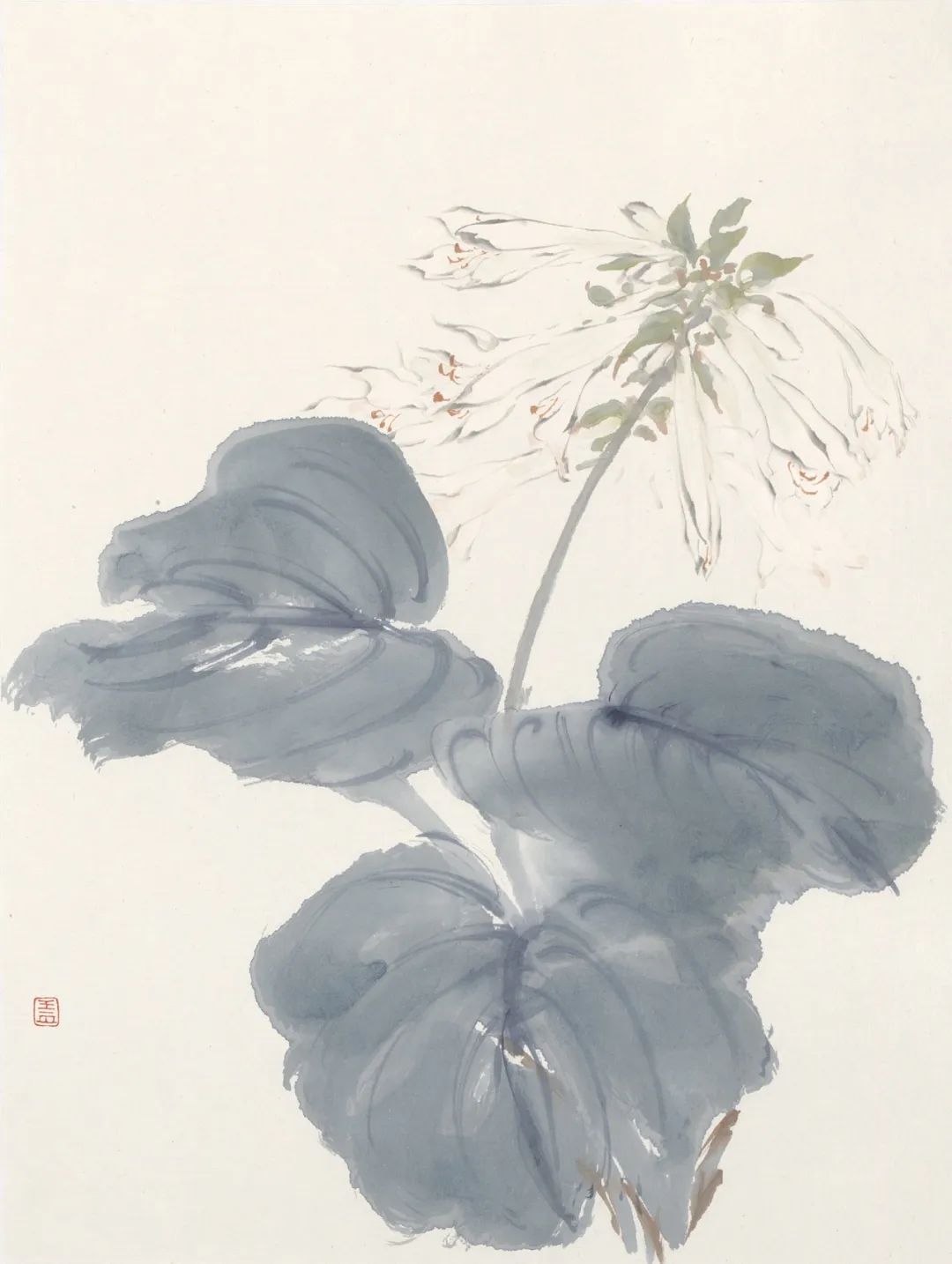 春节好眼福丨“花儿开了——王川作品展”将于明日在山东画院开展，展期至2月17日