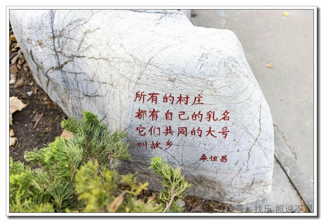 桑恒昌·诗苑丨走进德州武城这座诗歌园地，感受诗书碑石一体的独特韵味