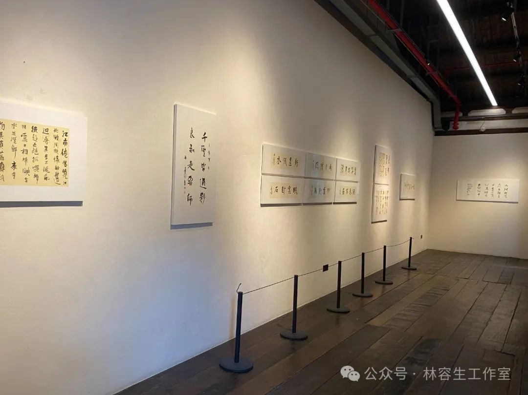 “沐春风——2025年林容生书法小品展”在福州市开展，展期至4月28日