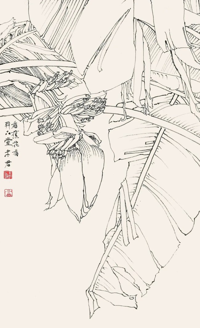 未君说“画”丨绘画能力并非与生俱来，万丈高楼从第一根“线条”开始