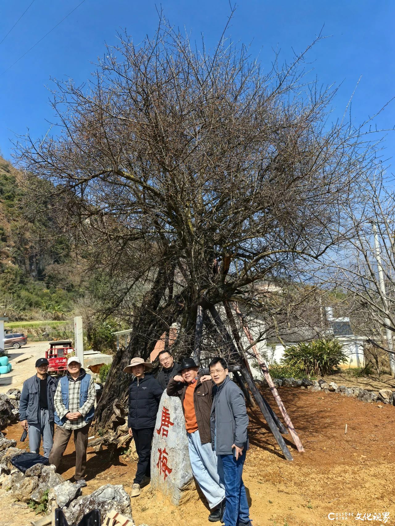 探梅问道——论刘玉泉教授师生云南写生的文化意义与艺术精神