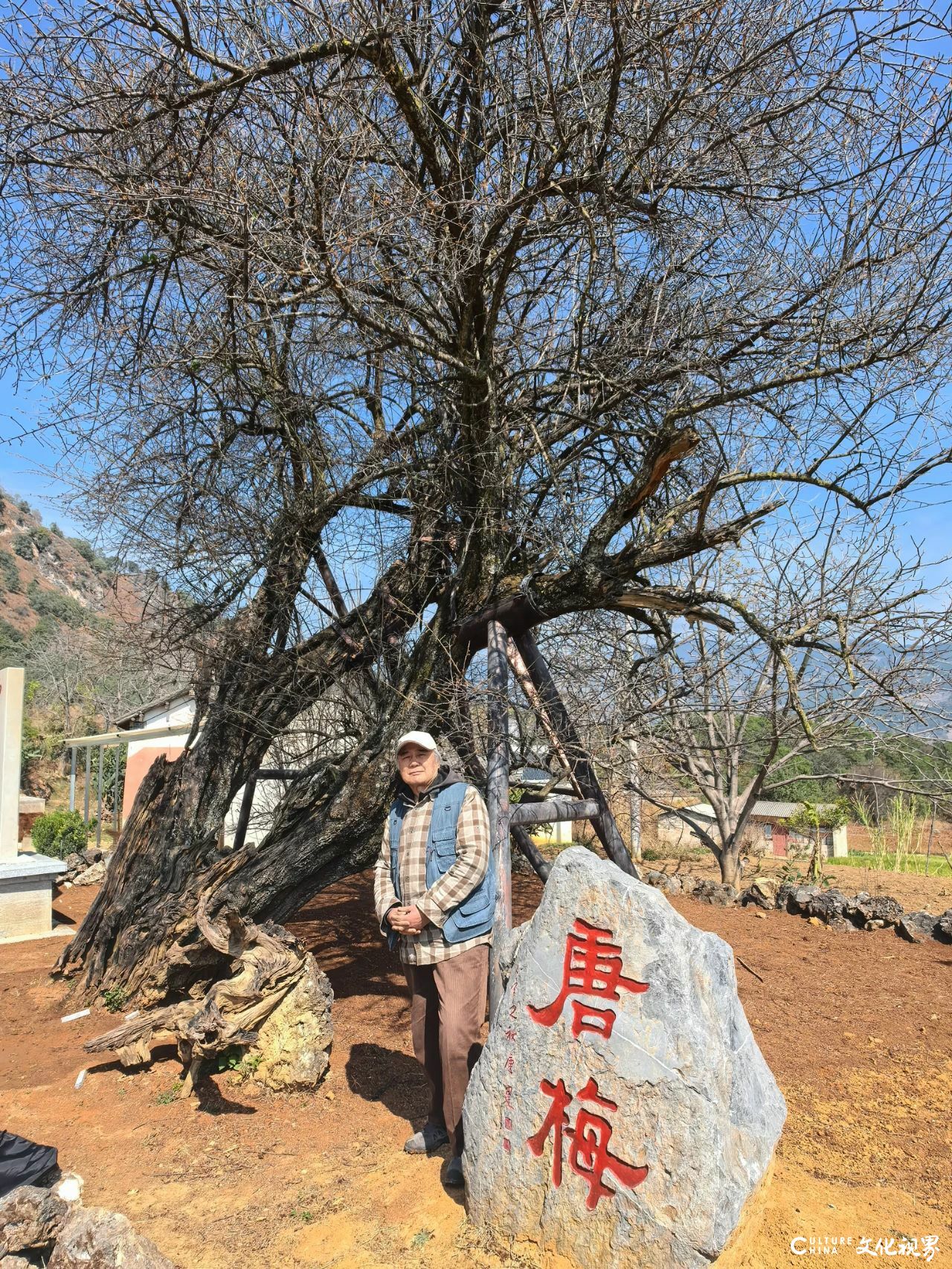 探梅问道——论刘玉泉教授师生云南写生的文化意义与艺术精神