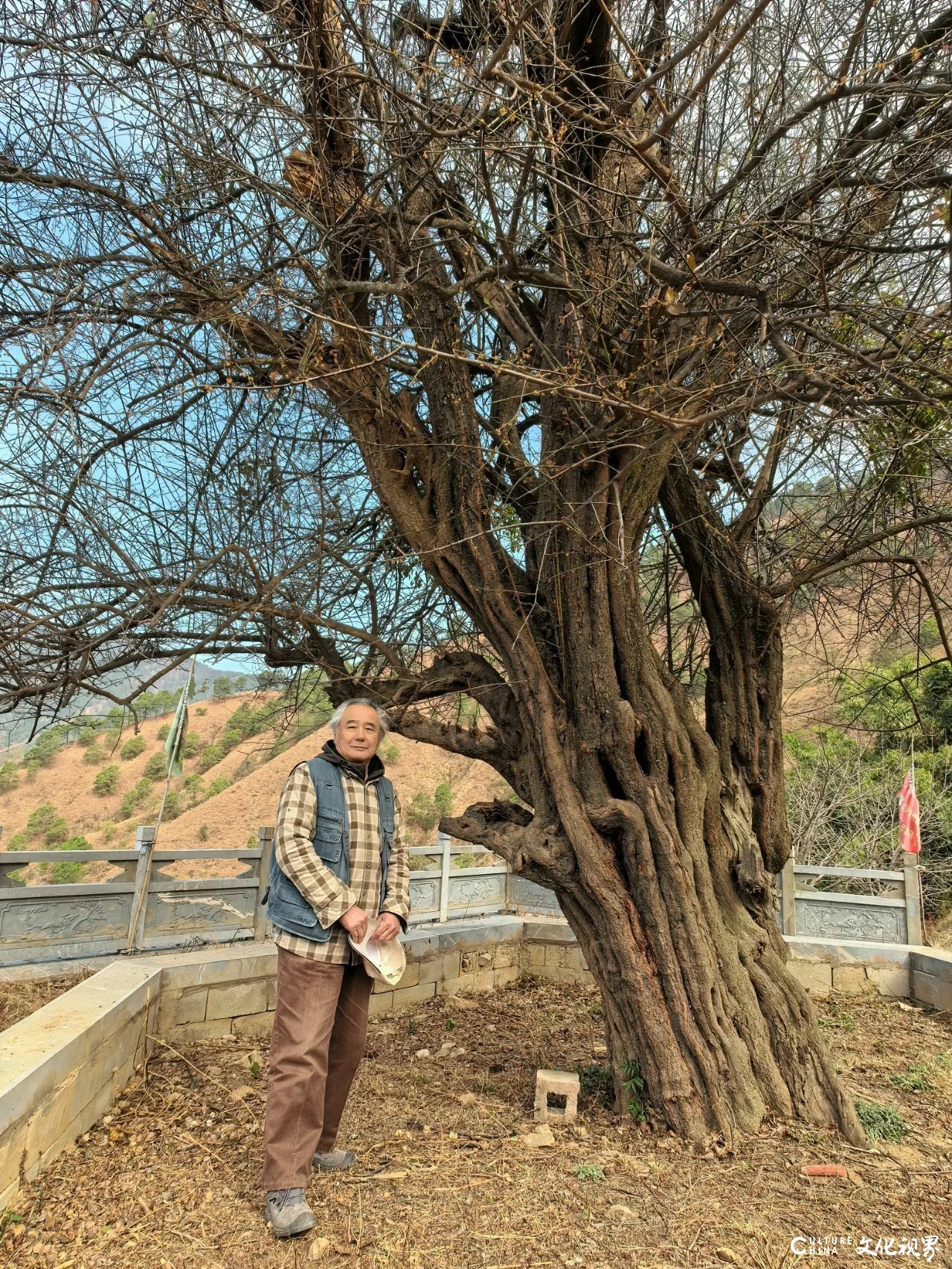 探梅问道——论刘玉泉教授师生云南写生的文化意义与艺术精神