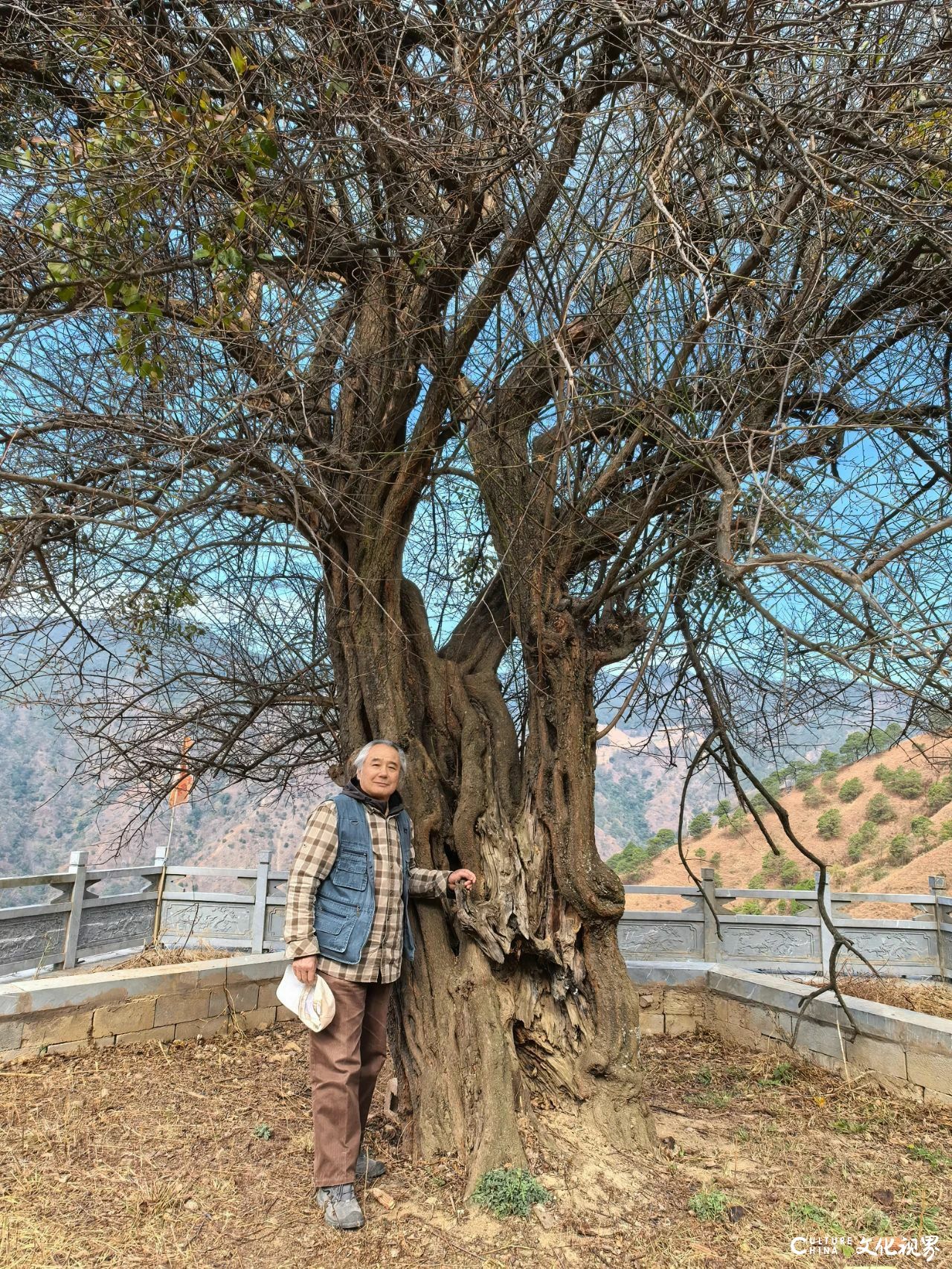 探梅问道——论刘玉泉教授师生云南写生的文化意义与艺术精神