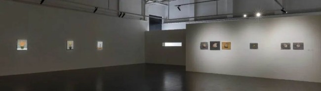 “且琢磨——孙逊个展” 在北京798桥艺术空间开幕，展期至3月30日