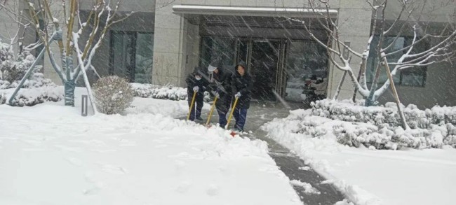 不惧风雪，彻夜奋战——银丰物业暴雪来临冲在前，为居民出行保驾护航