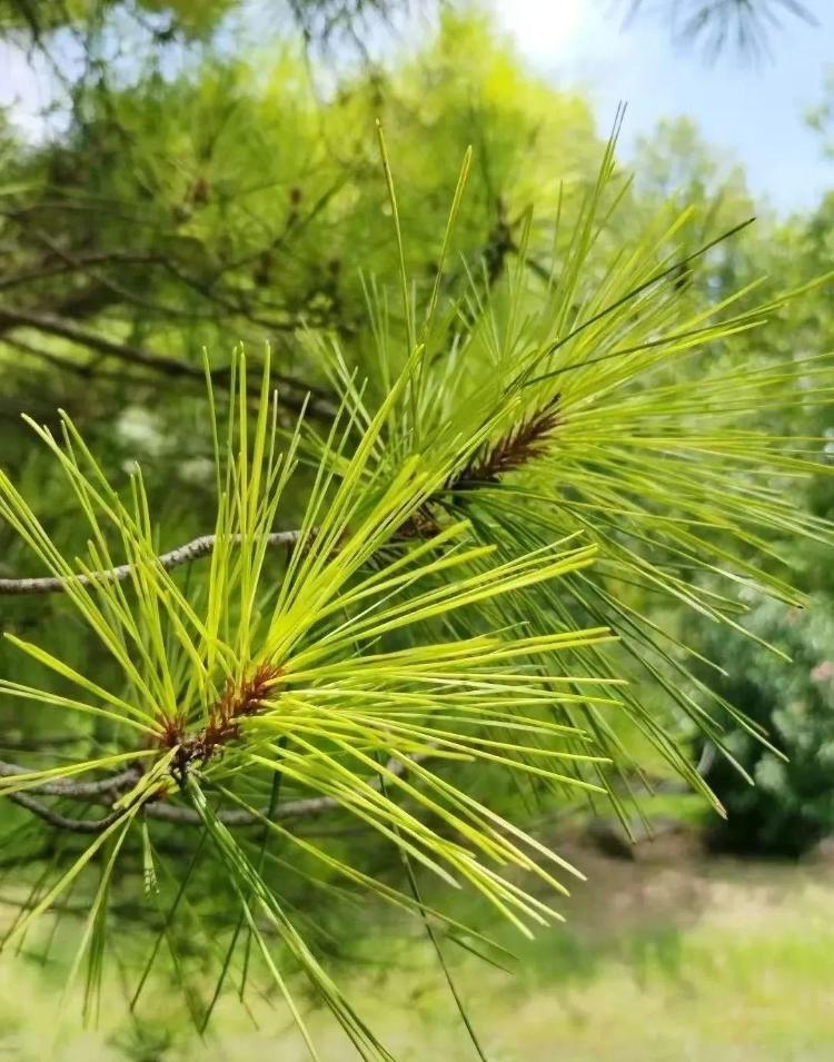 今天宠的就是“她”！山东多家景区官宣免费、半价优惠