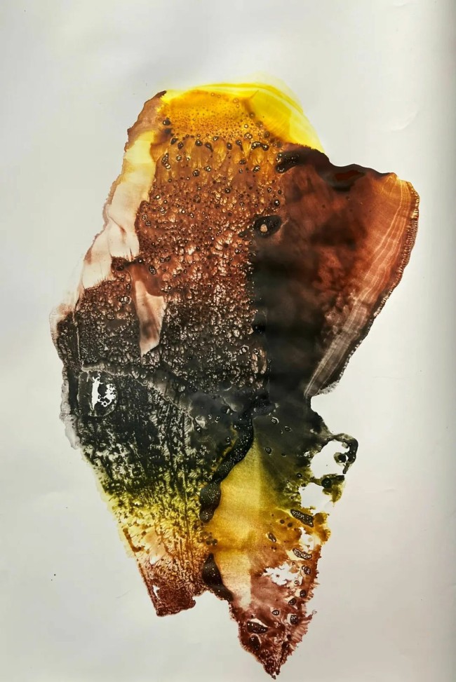 郑忠谈艺录（七十三）丨艺术创作不在于空间的大小，而在于心灵的宽广