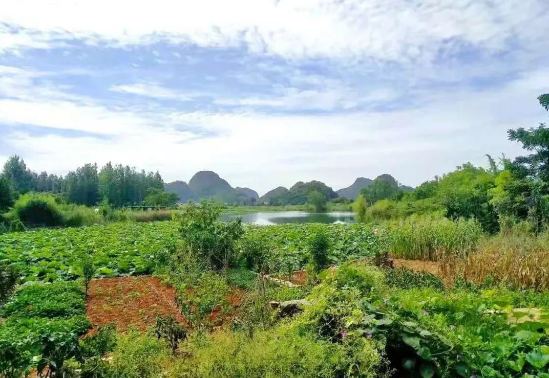 【时代青年油画社】美在文山——青年油画家公益写生教学系列活动（第六回）招募，活动时间4月6-15日