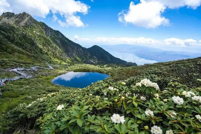 3月20日前可报名——刘明波担任导师，“途画大理·山水圈第四期写生公益班”开启学员招募