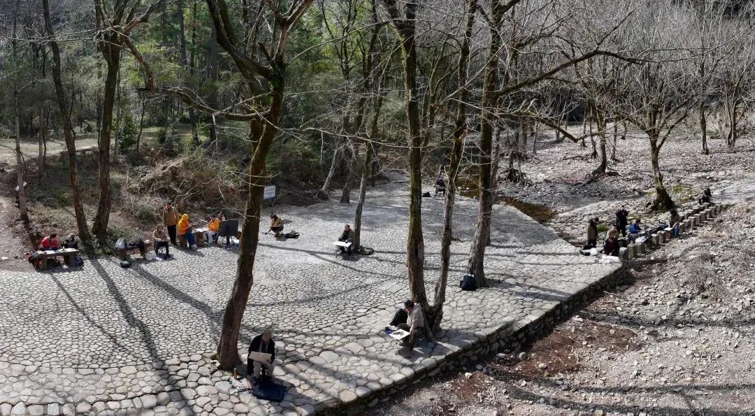 在自然中寻找艺术灵感——山东画院“雁荡行”采风写生之旅