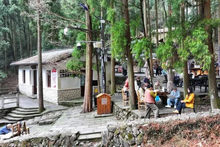 在自然中寻找艺术灵感——山东画院“雁荡行”采风写生之旅
