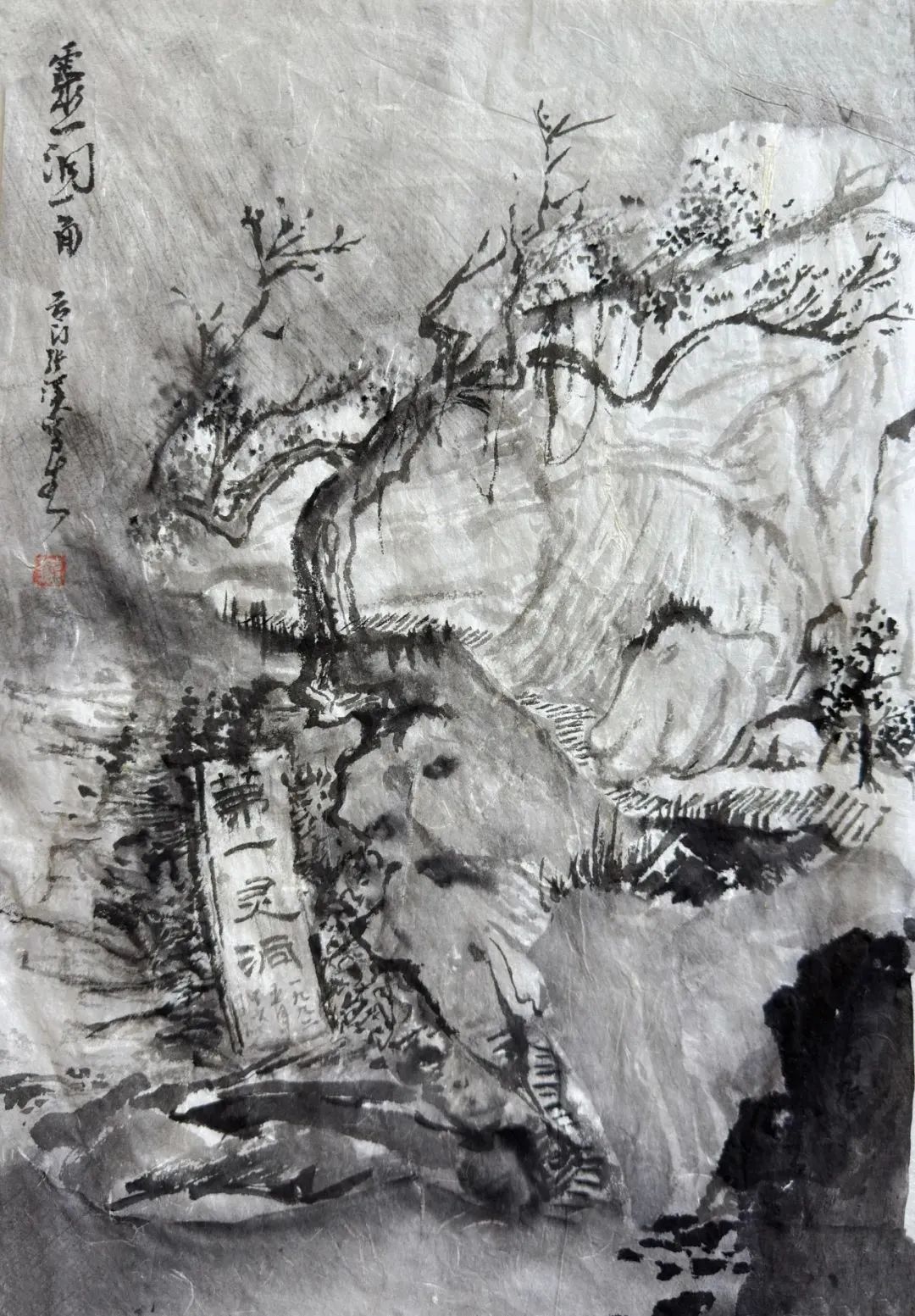 在自然中寻找艺术灵感——山东画院“雁荡行”采风写生之旅