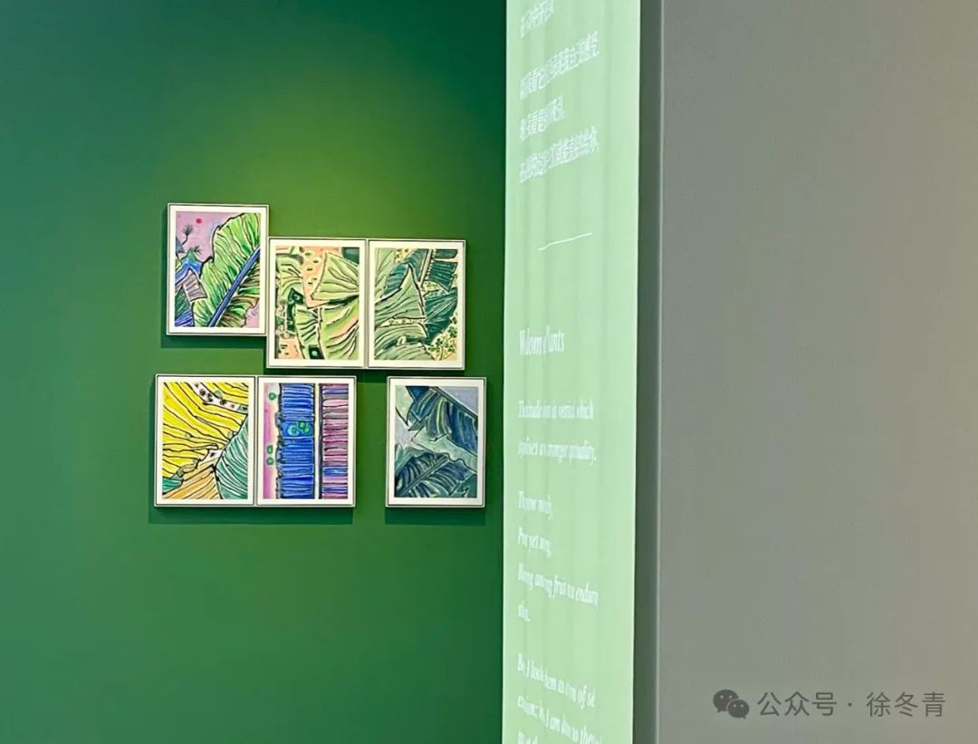 徐冬青·草叶菩提个展｜万物都有呼吸，哪怕是一块石头