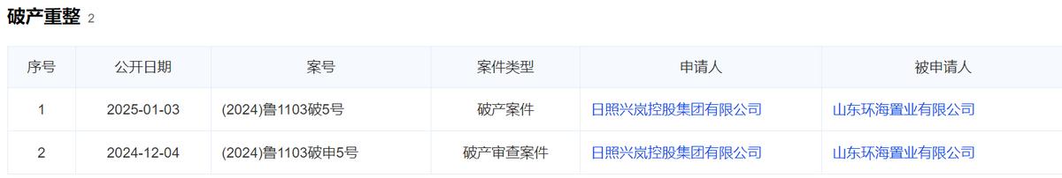半年内发生多次票据逾期，日照兴岚控股集团有限公司逾期余额达7433万元