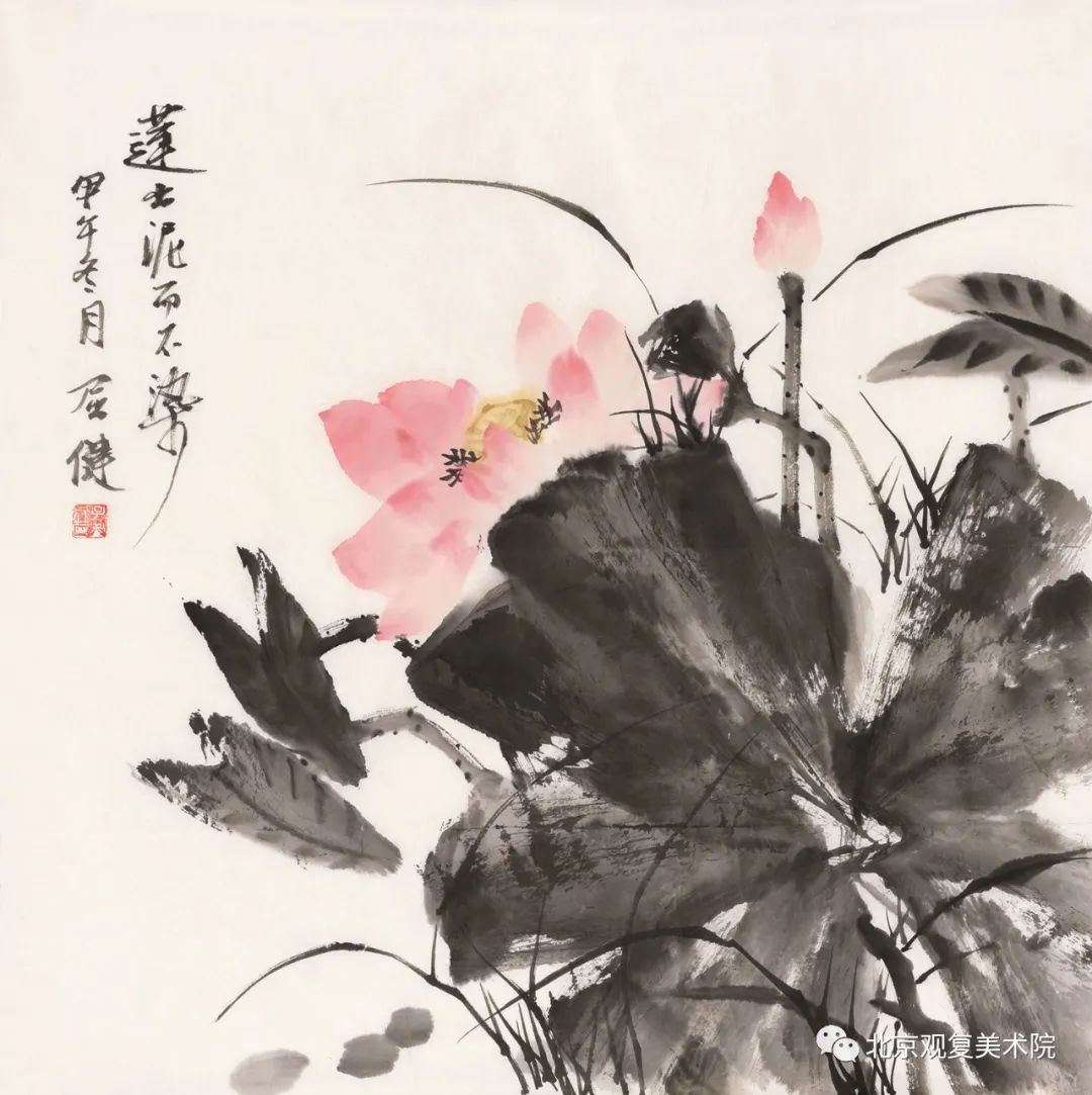 屈健·花鸟画 | 遒劲秀逸的勾勒与浓淡相宜的着色，赋予花鸟呼之欲出的鲜活形象