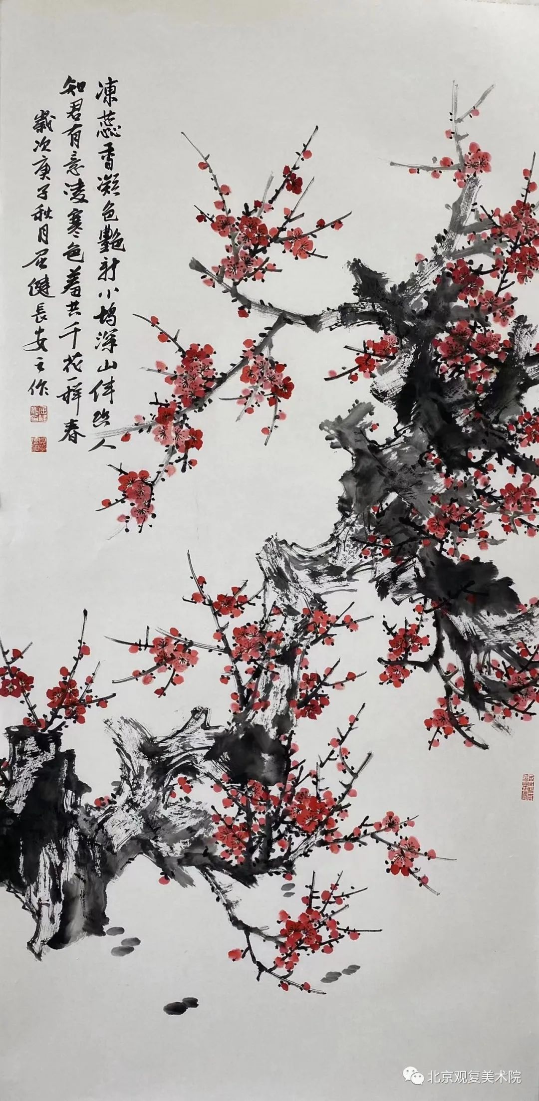 屈健·花鸟画 | 遒劲秀逸的勾勒与浓淡相宜的着色，赋予花鸟呼之欲出的鲜活形象