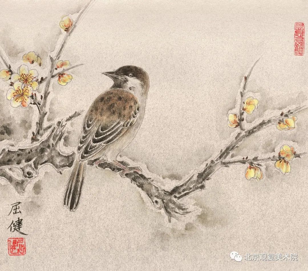 屈健·花鸟画 | 遒劲秀逸的勾勒与浓淡相宜的着色，赋予花鸟呼之欲出的鲜活形象