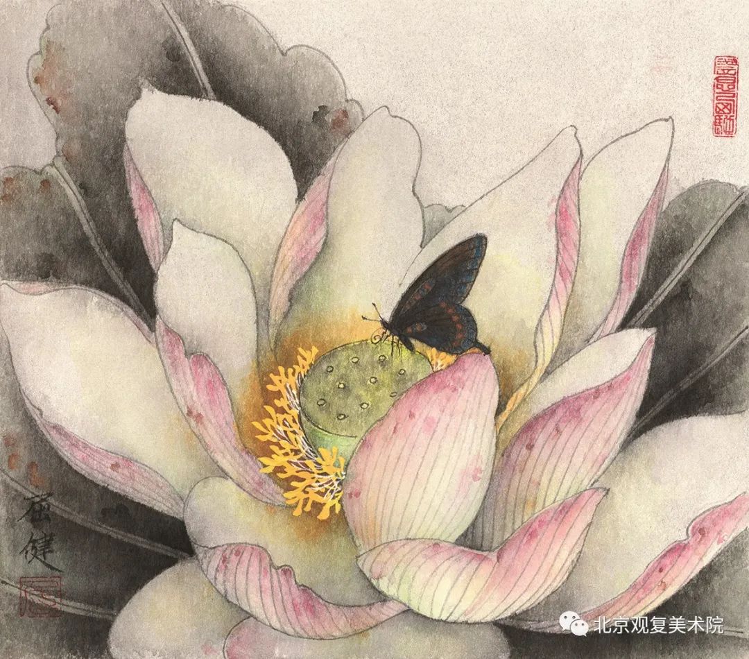 屈健·花鸟画 | 遒劲秀逸的勾勒与浓淡相宜的着色，赋予花鸟呼之欲出的鲜活形象