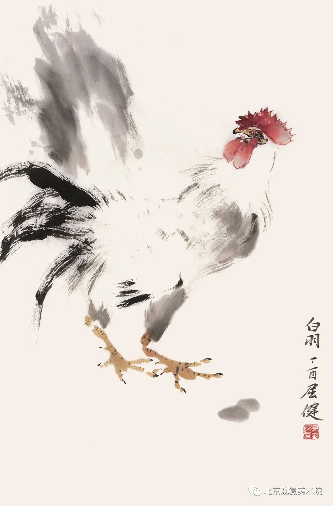 屈健·花鸟画 | 遒劲秀逸的勾勒与浓淡相宜的着色，赋予花鸟呼之欲出的鲜活形象