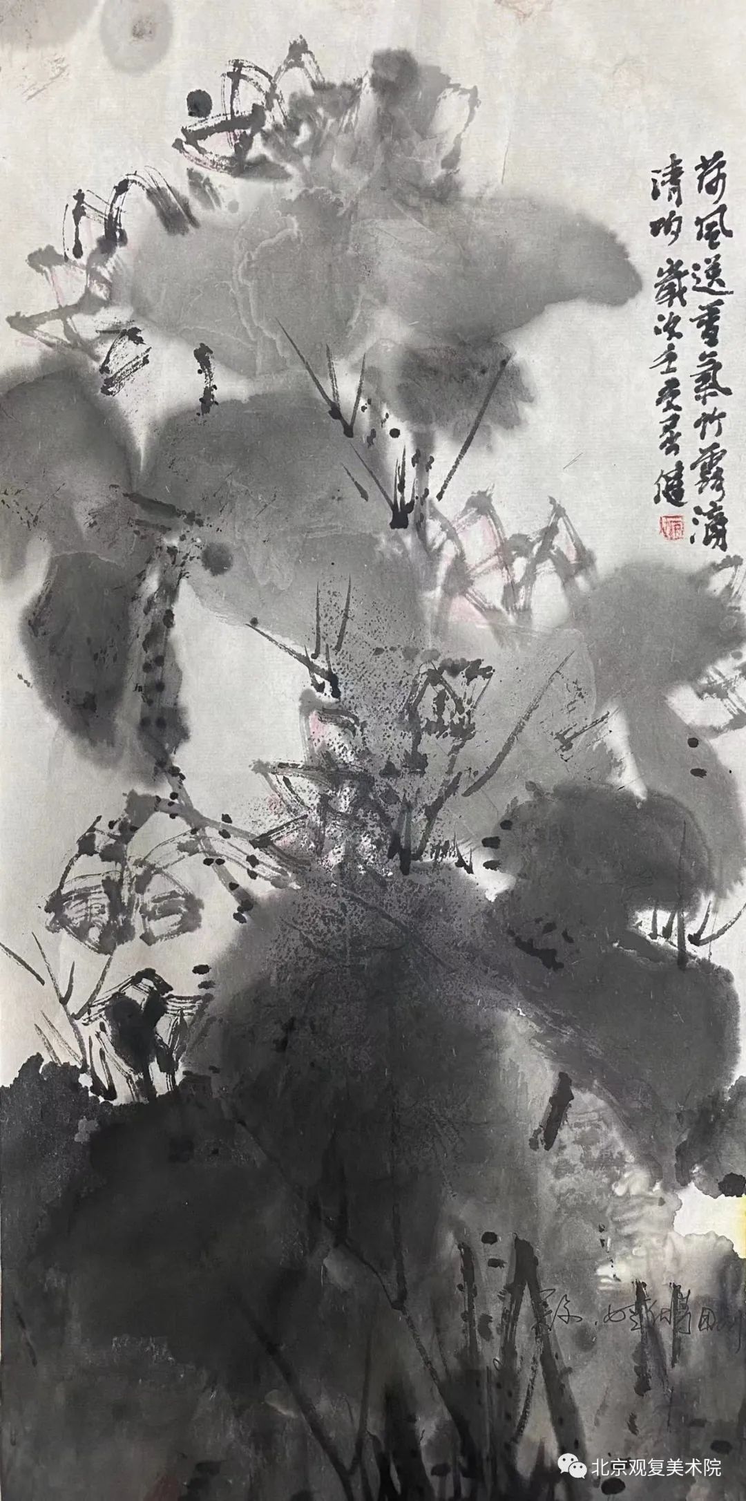 屈健·花鸟画 | 遒劲秀逸的勾勒与浓淡相宜的着色，赋予花鸟呼之欲出的鲜活形象