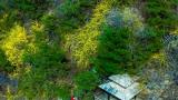 ​山野漫游正当时！万亩花海、手作秘境、山野木屋……来济南九如山邂逅春日限定浪漫