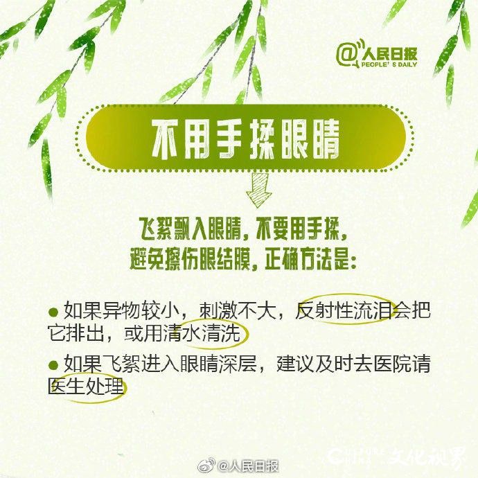 春天到处都是过敏原？快看这条飞絮期易过敏人群防护指南