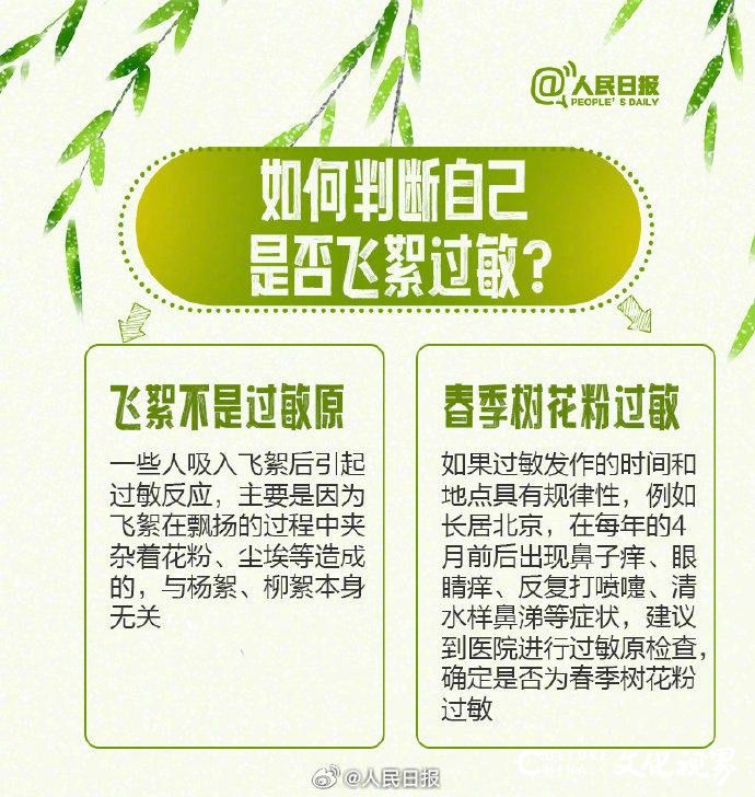 春天到处都是过敏原？快看这条飞絮期易过敏人群防护指南