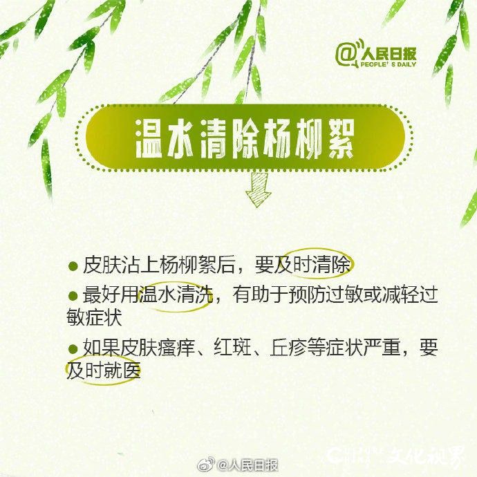 春天到处都是过敏原？快看这条飞絮期易过敏人群防护指南