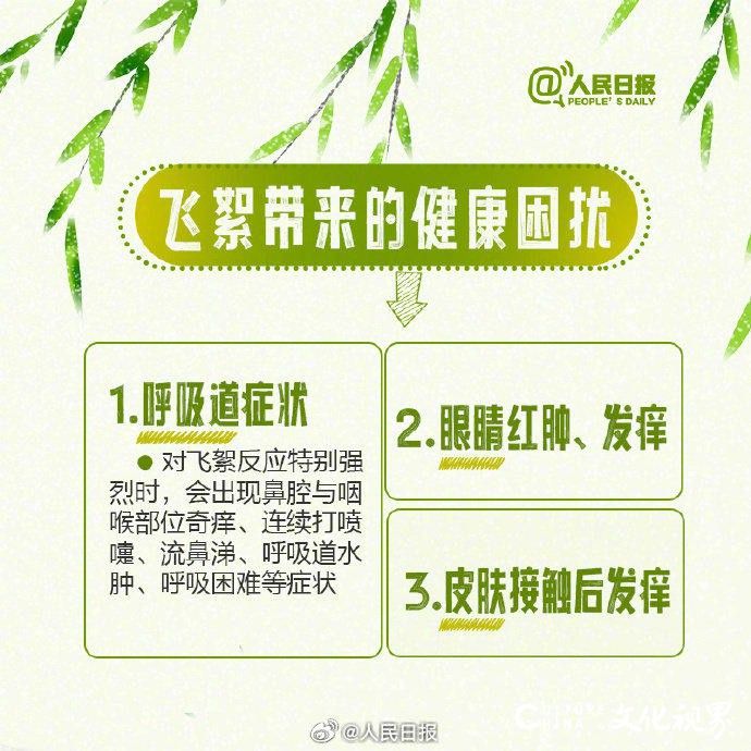 春天到处都是过敏原？快看这条飞絮期易过敏人群防护指南