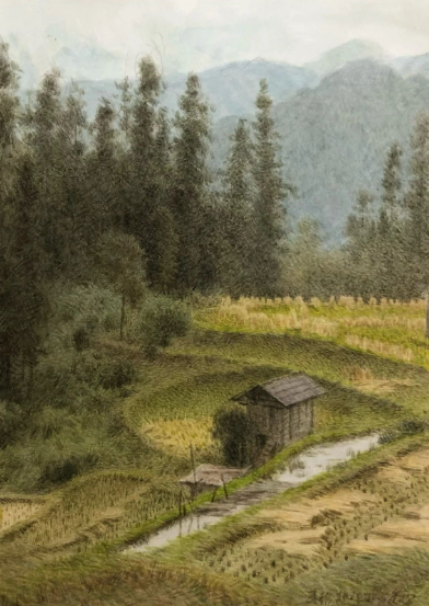 王建彬的“水彩田野” | 景在情在，画景也画心
