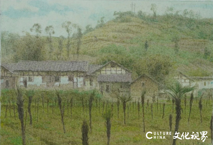 王建彬的“水彩田野” | 景在情在，画景也画心