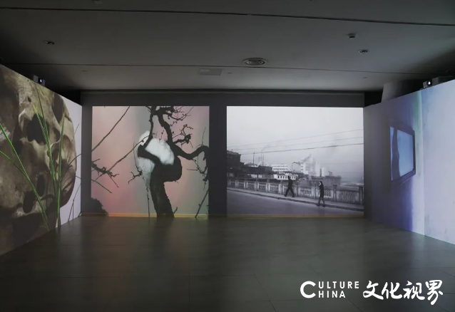  “数”说双年展，数据很惊艳——“人智时代-第三届济南国际双年展”昨日闭幕
