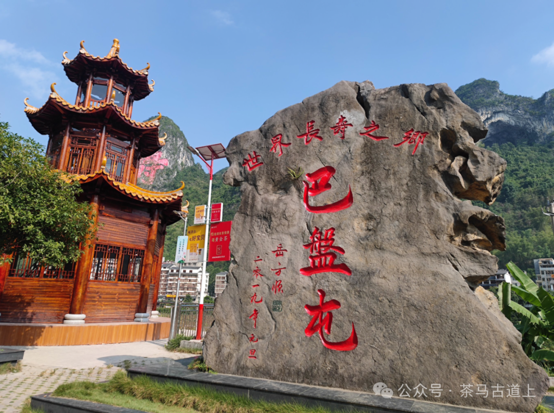 马悦英 | 在广西巴马瑶族自治县探秘世界长寿之乡的养生密码