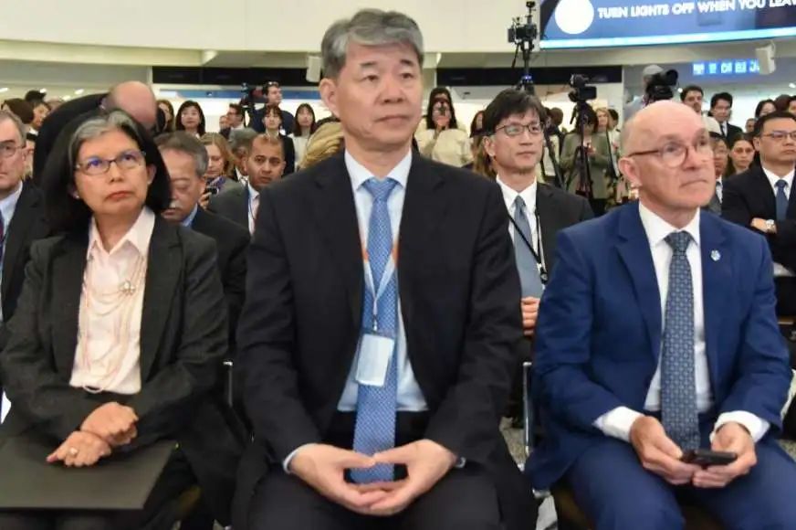 2025维也纳联合国中文日活动隆重举行——“从战国竹简到当代书画”让中国传统文化大放异彩