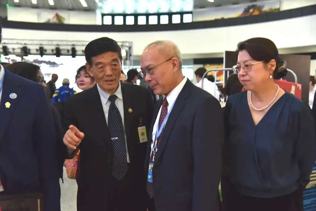 2025维也纳联合国中文日活动隆重举行——“从战国竹简到当代书画”让中国传统文化大放异彩