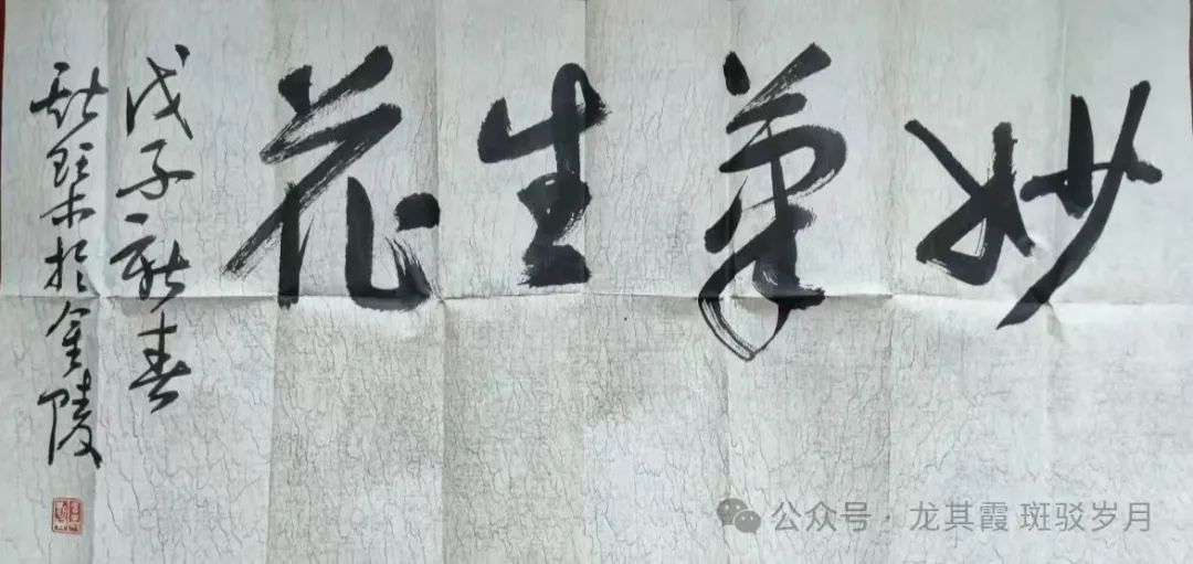 韦斯琴丨如诗如画的温婉才女
