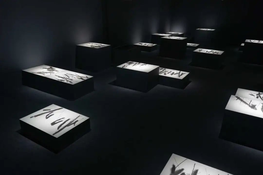 对话谭平 | 艺术是缓慢消解“悬置状态”的过程，是使“无意义”生成“意义”的瞬间