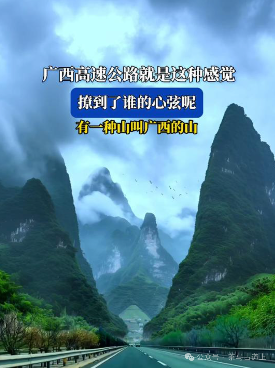马悦英 | 安全的坦途
