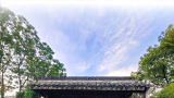 今日赏画，明日品书——“老树画展＆新书分享会”与您相约杭州