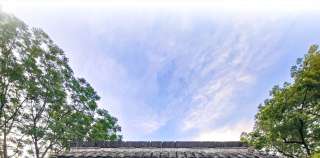 今日赏画，明日品书——“老树画展＆新书分享会”与您相约杭州
