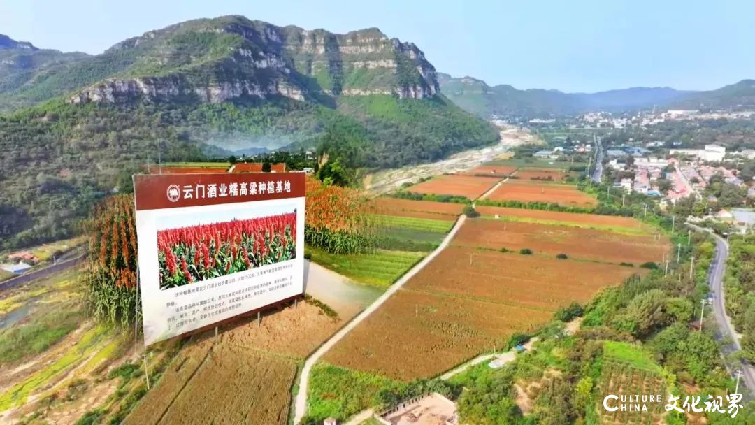 山东云门酒业入选潍坊市“2025年市级绿色工厂”榜单